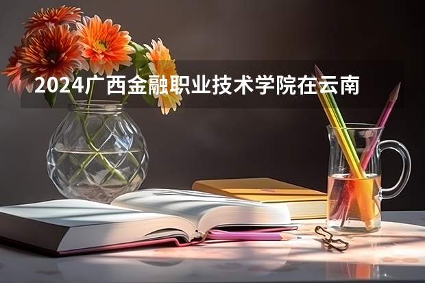 2024广西金融职业技术学院在云南高考招生计划介绍