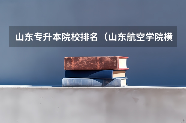 山东专升本院校排名（山东航空学院横空出世：省属高校特色学科建设的典范）