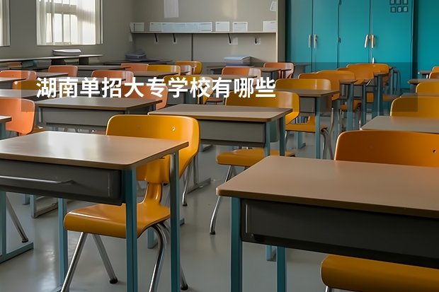 湖南单招大专学校有哪些