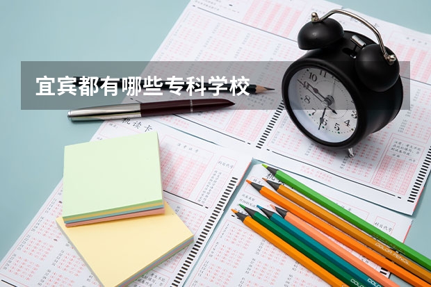 宜宾都有哪些专科学校