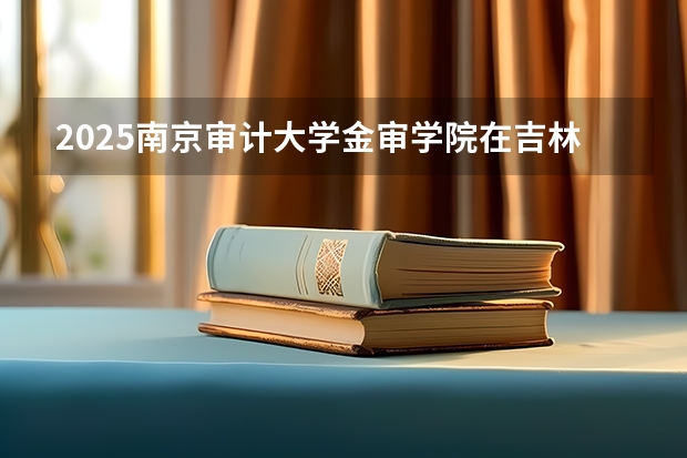 2025南京审计大学金审学院在吉林高考招生计划介绍