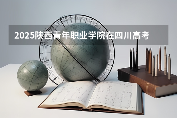 2025陕西青年职业学院在四川高考招生计划介绍
