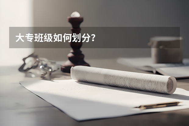 大专班级如何划分？