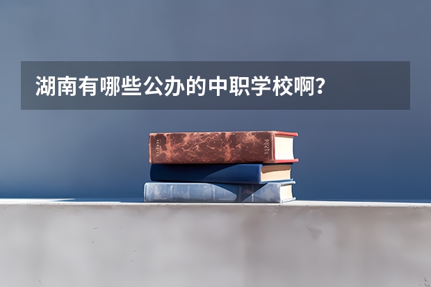湖南有哪些公办的中职学校啊？