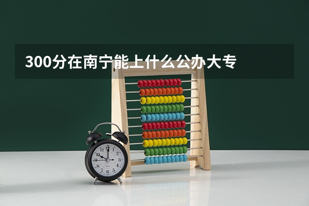 300分在南宁能上什么公办大专