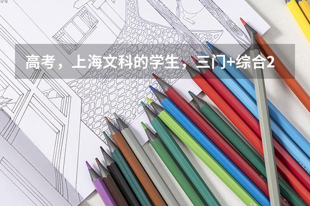 高考，上海文科的学生，三门+综合293分能进什么大专
