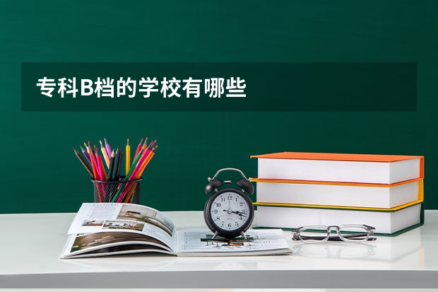 专科B档的学校有哪些