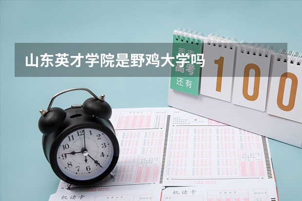 山东英才学院是野鸡大学吗