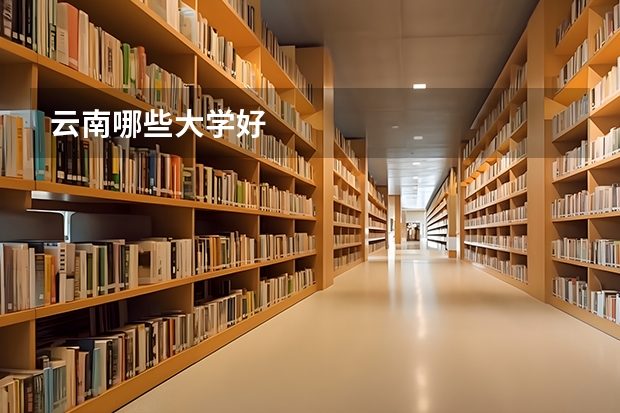 云南哪些大学好