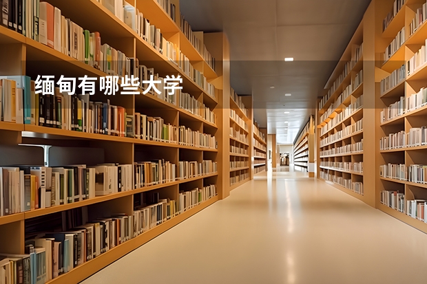 缅甸有哪些大学