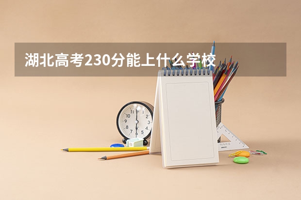 湖北高考230分能上什么学校