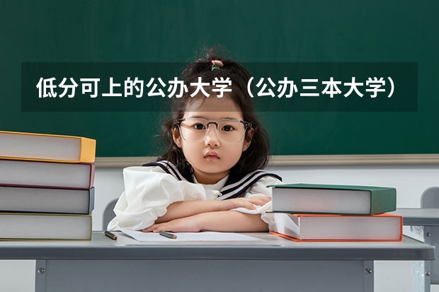 低分可上的公办大学（公办三本大学）