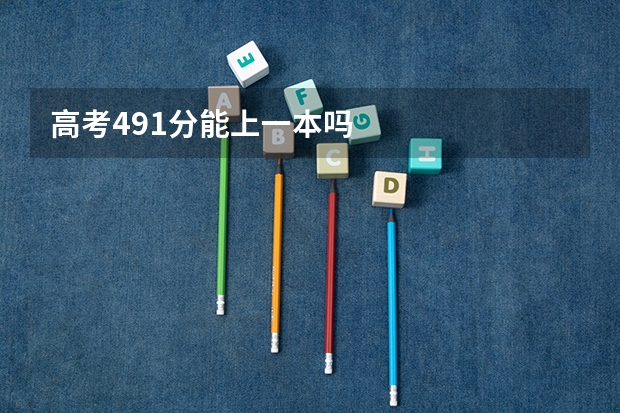 高考491分能上一本吗