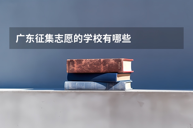 广东征集志愿的学校有哪些