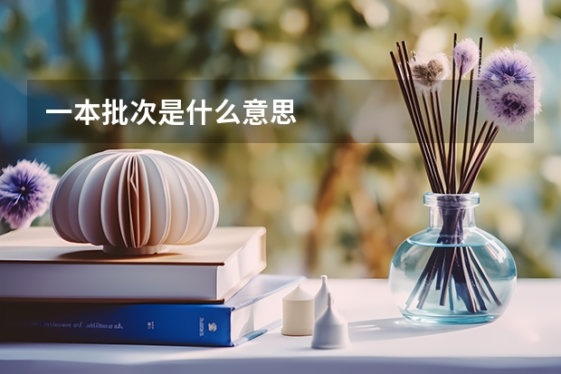 一本批次是什么意思