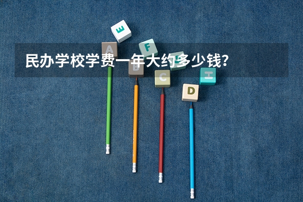 民办学校学费一年大约多少钱？