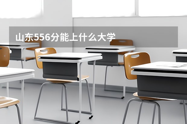 山东556分能上什么大学